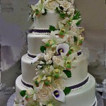 IMG_1316