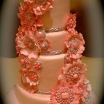 Pink jewels